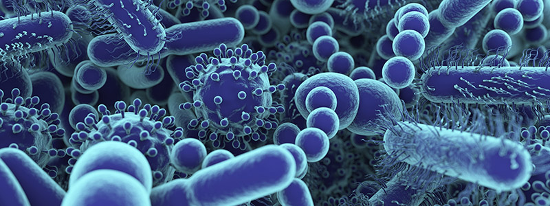 19 - 08 - 19 Bacteria How You Can Fight Bacterial Contamination in Your Clinic