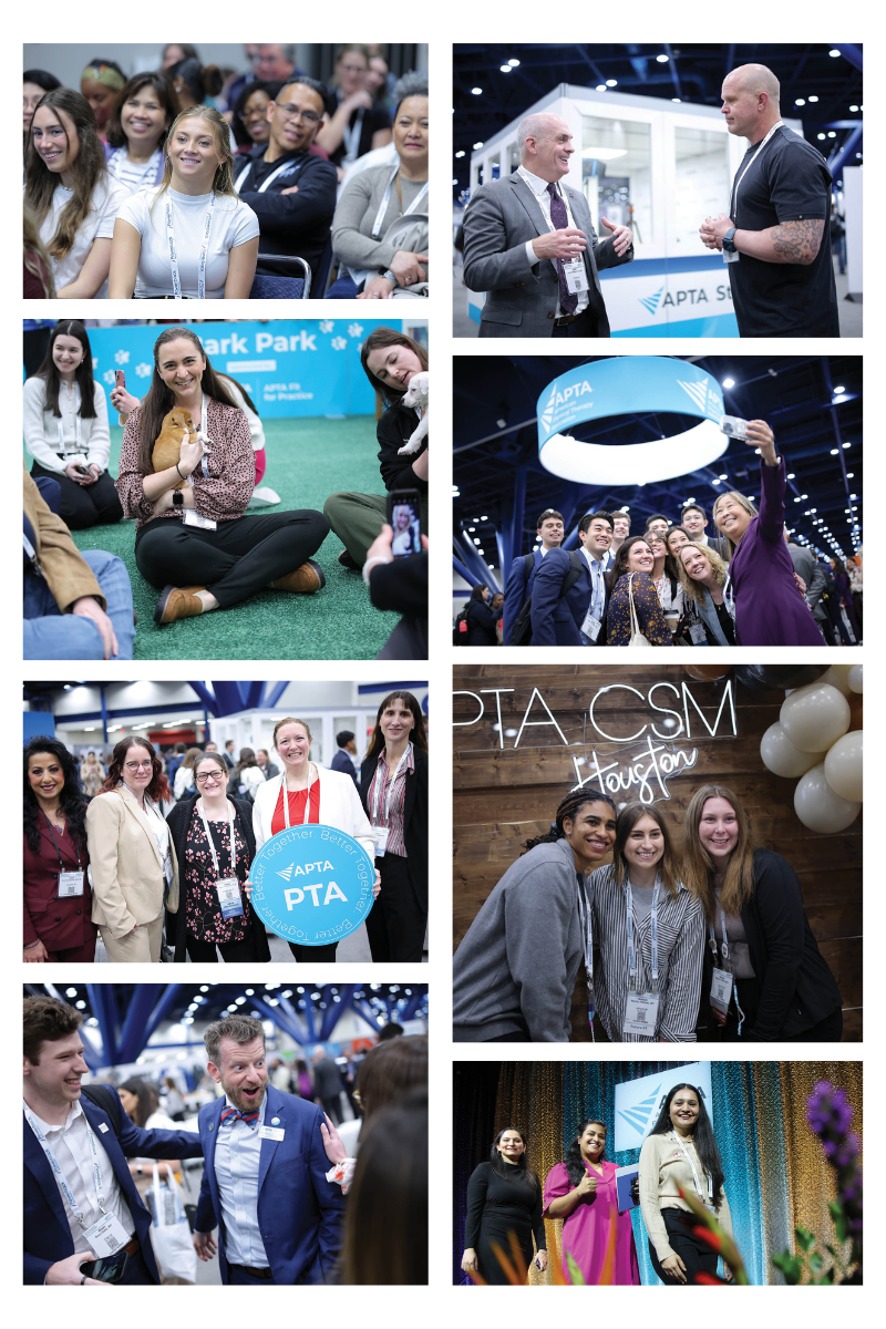 CSM Snapshot.png